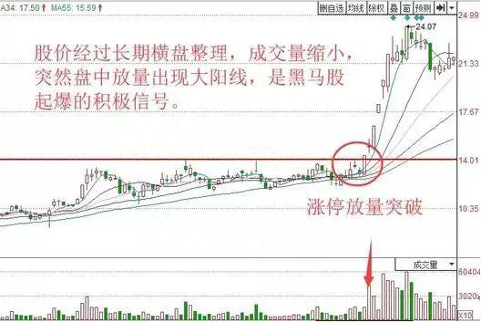 炒股该如何运用技术指标一旦读懂悟透，100%秒选爆发黑马股，让无数散户跪服