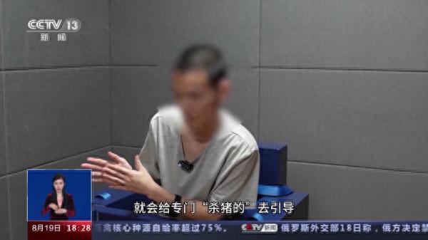 “最好是找有编制人员”，境外回流人员亲述“杀猪盘”诈骗过程