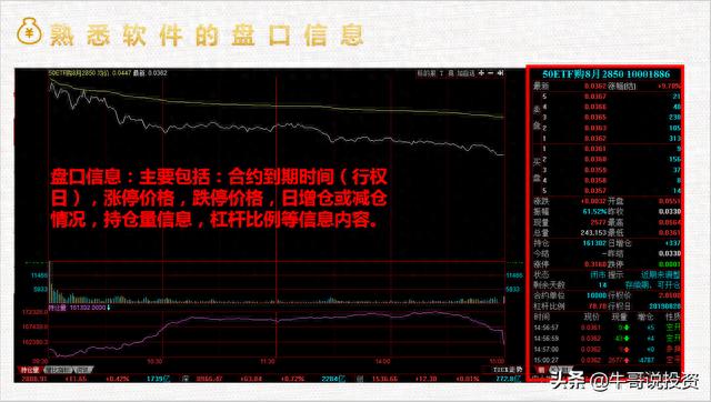 新手上路：如何快速学习期权（免费教学）