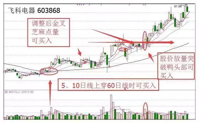 终于有A股大佬发声了：股价已经跌到全部股东都套牢了，应该空仓等待还是满仓进场作为投资者怎么看