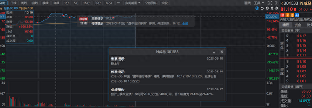 N威马大涨190%，触发临停