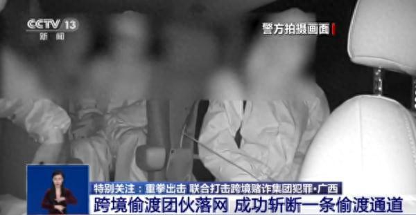 “最好是找有编制人员”，境外回流人员亲述“杀猪盘”诈骗过程