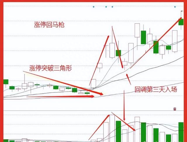 炒股15年，用最笨最简单的炒股方法，只买一种股票，赚到怀疑人生