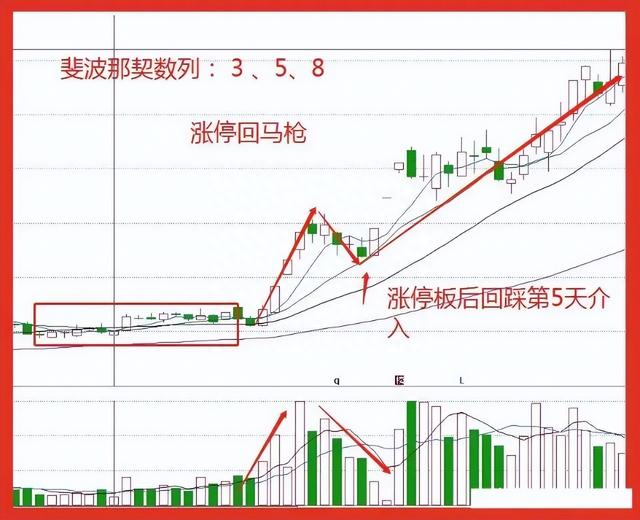 炒股15年，用最笨最简单的炒股方法，只买一种股票，赚到怀疑人生