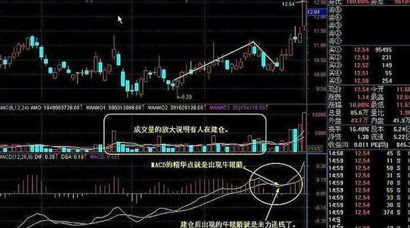 炒股指标眼花缭乱，但是还是敌不过指标之王MACD，一文透析全方面MACD指标用法