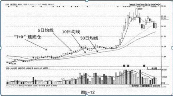 炒股“勤劳”的交易员有多可怕一辈子只买一只股，日日反复做T，5万入市赚1000万，全靠五大技巧