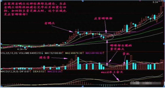 老鸭头K线形态原来就是主升行情启动的标志信号，鸭头就是最佳的黄金买入点，值得牢记