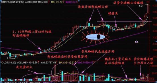 老鸭头K线形态原来就是主升行情启动的标志信号，鸭头就是最佳的黄金买入点，值得牢记