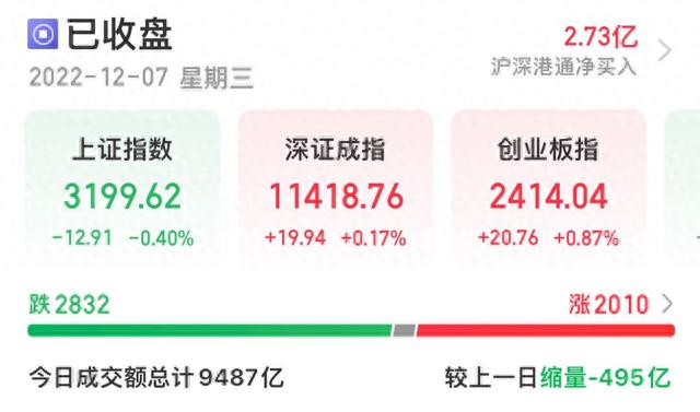 A股收评：沪指冲高回落收跌0.4% 熊去氧胆酸概念股全天大涨