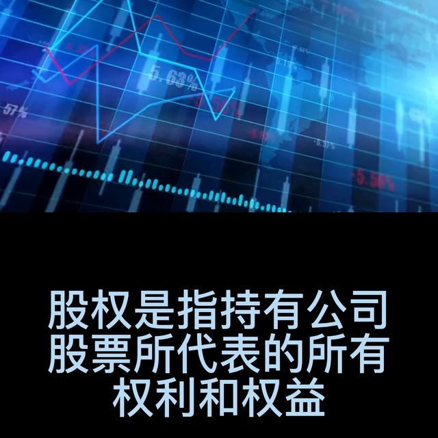 股权是什么#股权是什么