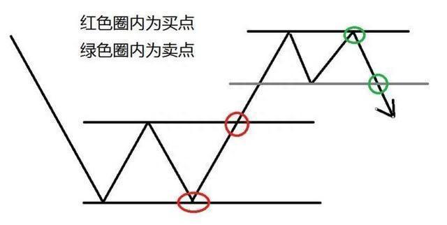 厦大女博士罕见发言：股民11年前投资了腾讯股票10万元，现在总分红有多少呢原来这才叫真正的价值投资