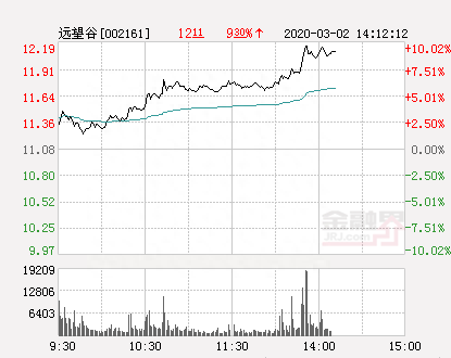 快讯：远望谷涨停 报于12.19元