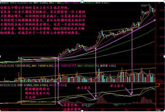 手中个股早盘突然5000万资金封住涨停板，为何第二日会低开点醒1.5亿股民，原来钱是这样赔没的