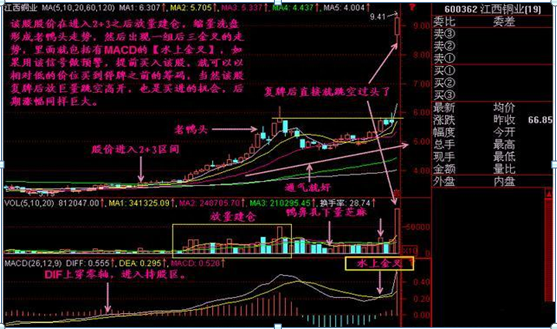 手中个股早盘突然5000万资金封住涨停板，为何第二日会低开点醒1.5亿股民，原来钱是这样赔没的