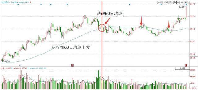 终于有人说出了实情：为什么一支股票可以一直下跌，难道庄家亏损也要套现吗点醒1.8亿迷茫股民