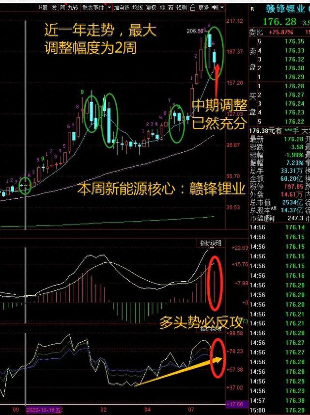 新能源板块买点，关键在这两指标