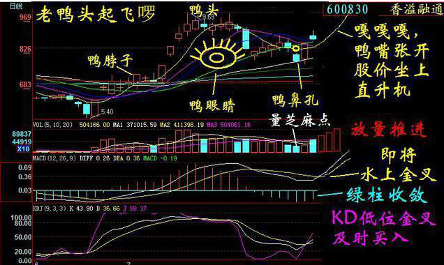 主力“骗线”让你总卖在拉升前牢记“月线看趋势，周线看上下，日线看买卖”，再凶狠的主力也无可奈何