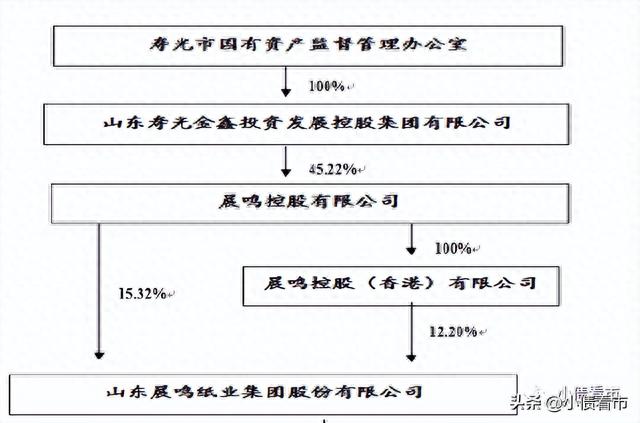 晨鸣纸业600亿负债压顶，业绩大幅下滑被列入观察名单