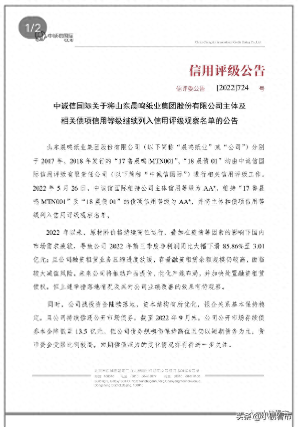 晨鸣纸业600亿负债压顶，业绩大幅下滑被列入观察名单