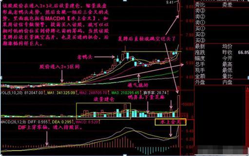 十拿九稳MACD不传战法：均价线+均量线+MACD“三线金叉共振选股法”，仅分享这一次