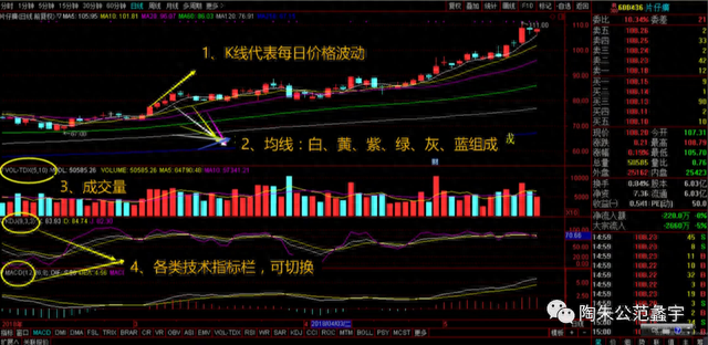 盘口语言解读