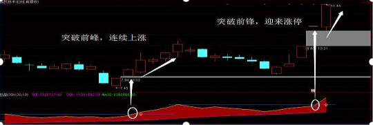 上大一金融女博士坦言：一辈子死记一指标就够了，用最“笨”的方法赚取一生荣华