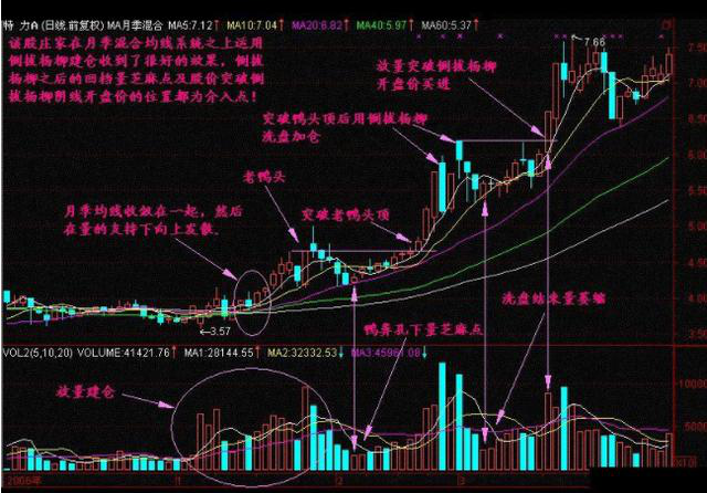 你能坚守一只股票十年吗这些人做到了，还赚了很多