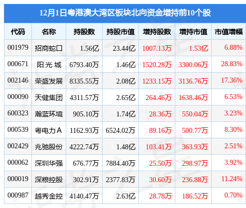 粤港澳大湾区板块12月1日涨0.2%，广百股份领涨，主力资金净流出1.03亿元