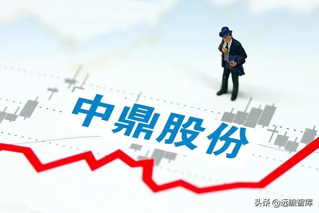 智能底盘龙头，中鼎股份：海外并购，高技术壁垒成就宽护城河