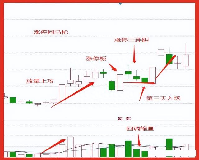 炒股15年，用最笨最简单的炒股方法，只买一种股票，赚到怀疑人生