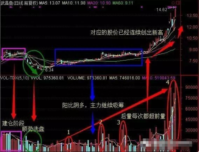 学会“蝶式建仓”战法技巧，快速掌握庄家动向，做股市常胜将军