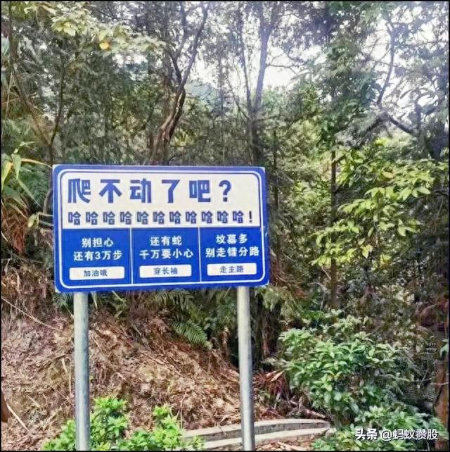 每一次大跌都是“送钱”，白捡的钱不能不要，再买一点充实仓位！