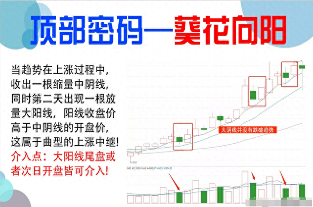 如何寻找庄家的足迹股市干货：准确率极高的抄底技巧！