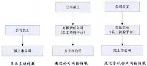 股权激励员工持股平台：个人、公司、有限合伙有啥不同