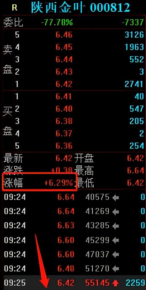 陕西金叶上演机构游资大战，作手新一6万手大单砸崩涨停板