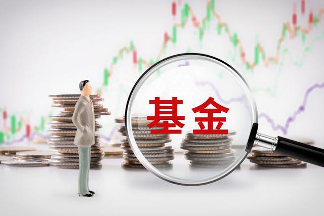 成立来涨238%的国泰大健康股票基金，二季度出现风格漂移