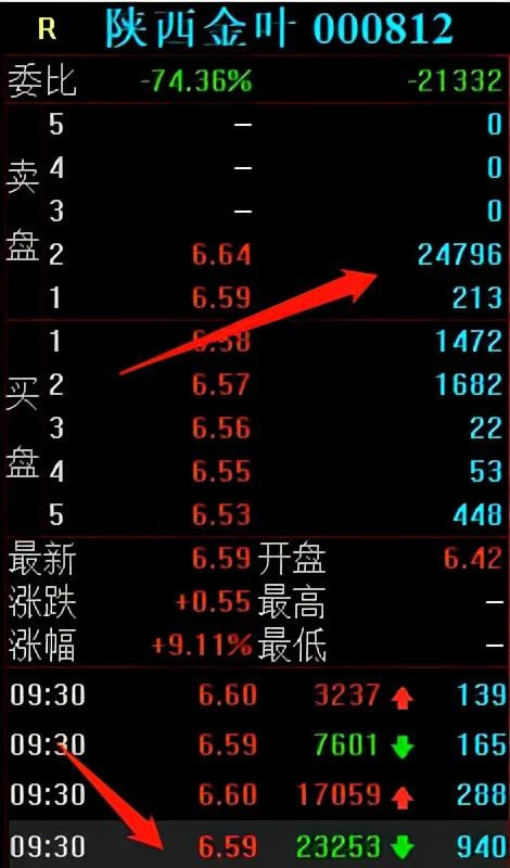 陕西金叶上演机构游资大战，作手新一6万手大单砸崩涨停板