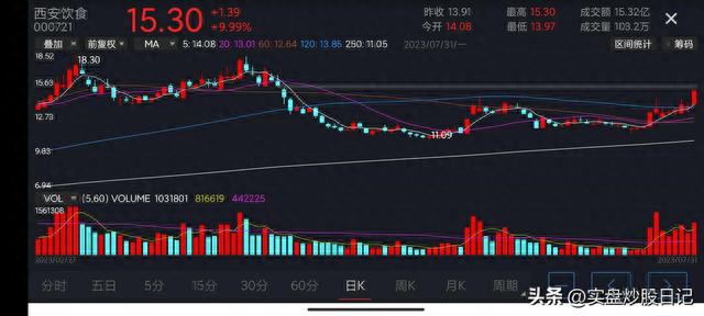 2023.7.31实盘日记：高开低走，弱势反弹