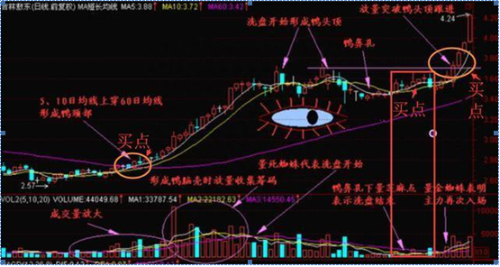 老鸭头K线形态原来就是主升行情启动的标志信号，鸭头就是最佳的黄金买入点，值得牢记