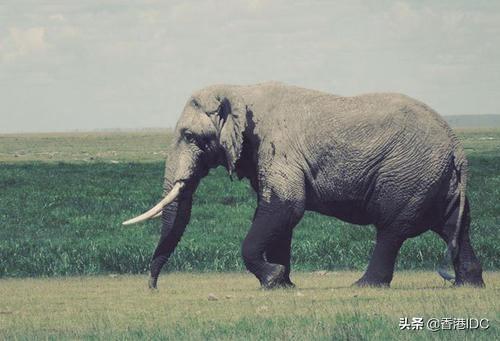 大数据的一个时代的结束了，Hadoop还值得你学习吗