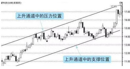 中国股市：上市公司年报到底怎么看三招让你发现大牛股，避开垃圾股