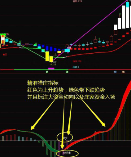 北大女博士为股民发声：如果你买的股票亏损30%，放着持有到下一轮牛市，能回本获利