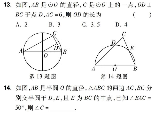 【初中数学】初中几何“中点问题”七大模型