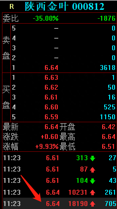 陕西金叶上演机构游资大战，作手新一6万手大单砸崩涨停板