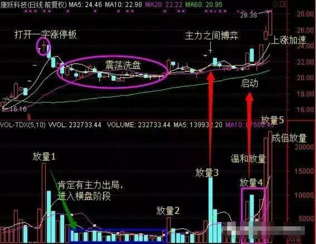 学会“蝶式建仓”战法技巧，快速掌握庄家动向，做股市常胜将军