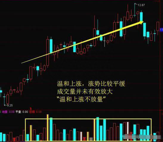 一位的士司机的炒股之道：炒股无需太复杂，选股只需牢记这5点，两年躺赚66万