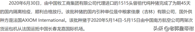 详细说明一只商品出栏猪的前世今生（投资日记）