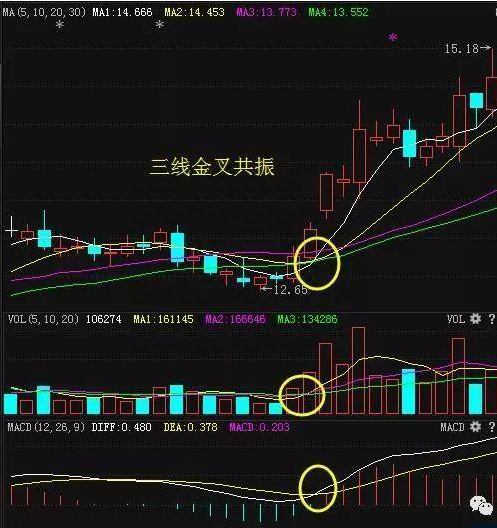 中国股市：炒股只买5元以下的低价股，风险就会比较小钱就是这么亏没的