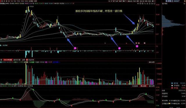 均线的魔力—5种最重要的均线系统