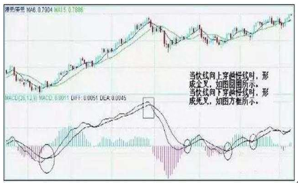 学会12个重要技术指标，再也不惧怕下跌行情！